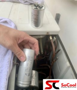 Replace Capacitor in Lavender