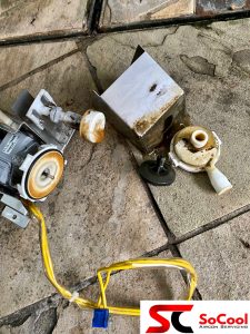 Repalce Water Pump in SengKang